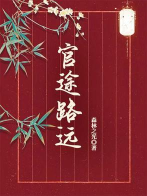 官途路远 官途路远