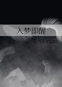 入梦即醒 入梦即醒