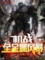 机战:全金属风暴 机战:全金属风暴