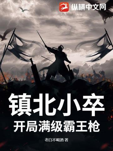 镇北小卒:开局满级霸王枪 镇北小卒:开局满级霸王枪