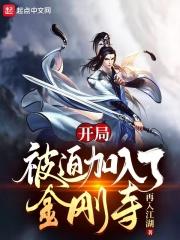 开局被迫加入了金刚寺 开局被迫加入了金刚寺