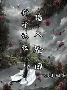 封印记忆,踏入轮回 封印记忆,踏入轮回