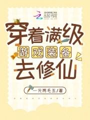 穿着满级游戏装备去修仙 穿着满级游戏装备去修仙