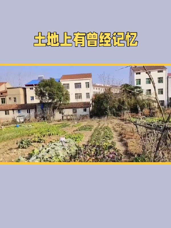 土地上有曾经记忆 土地上有曾经记忆