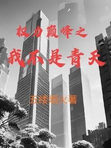 权力巅峰之我不是青天 权力巅峰之我不是青天